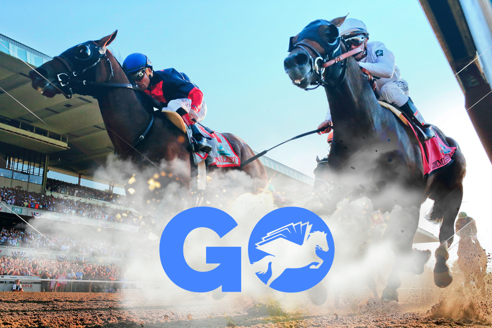 Go Horse Racing